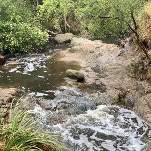 Frankston Nature Play