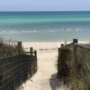 Seaford beach with kids