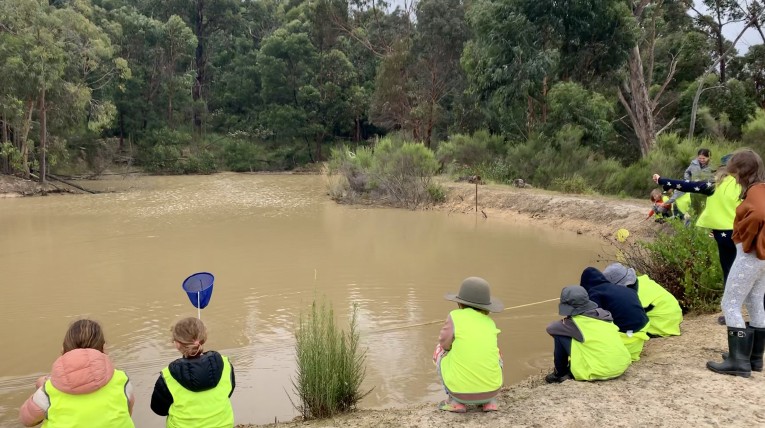 Forest school program