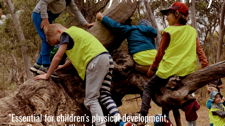 Risky play at Forest School