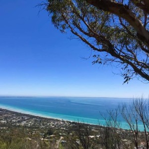 Visit Arthurs Seat Park with kids