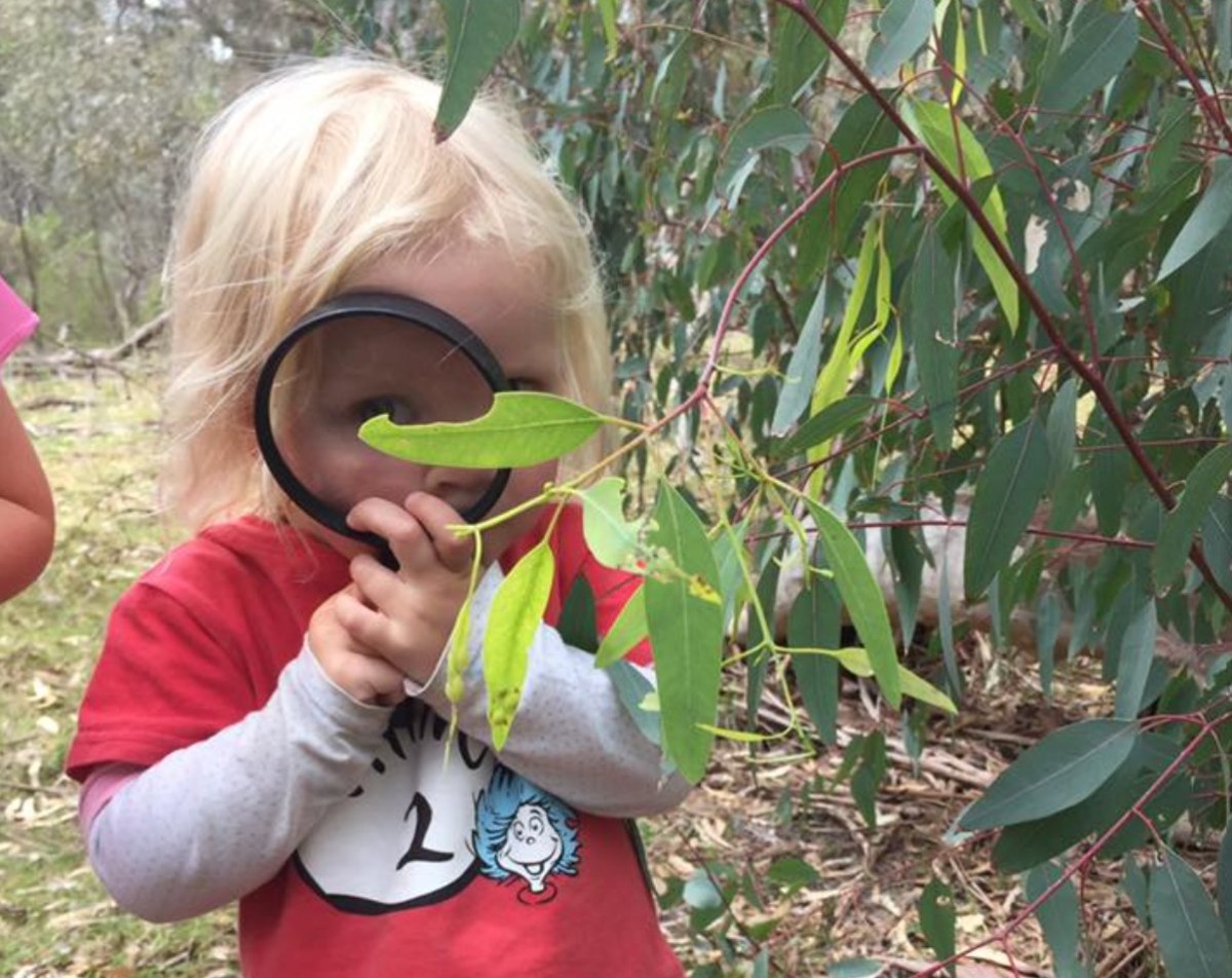 Macedon Ranges Bush Babies – Tuesday