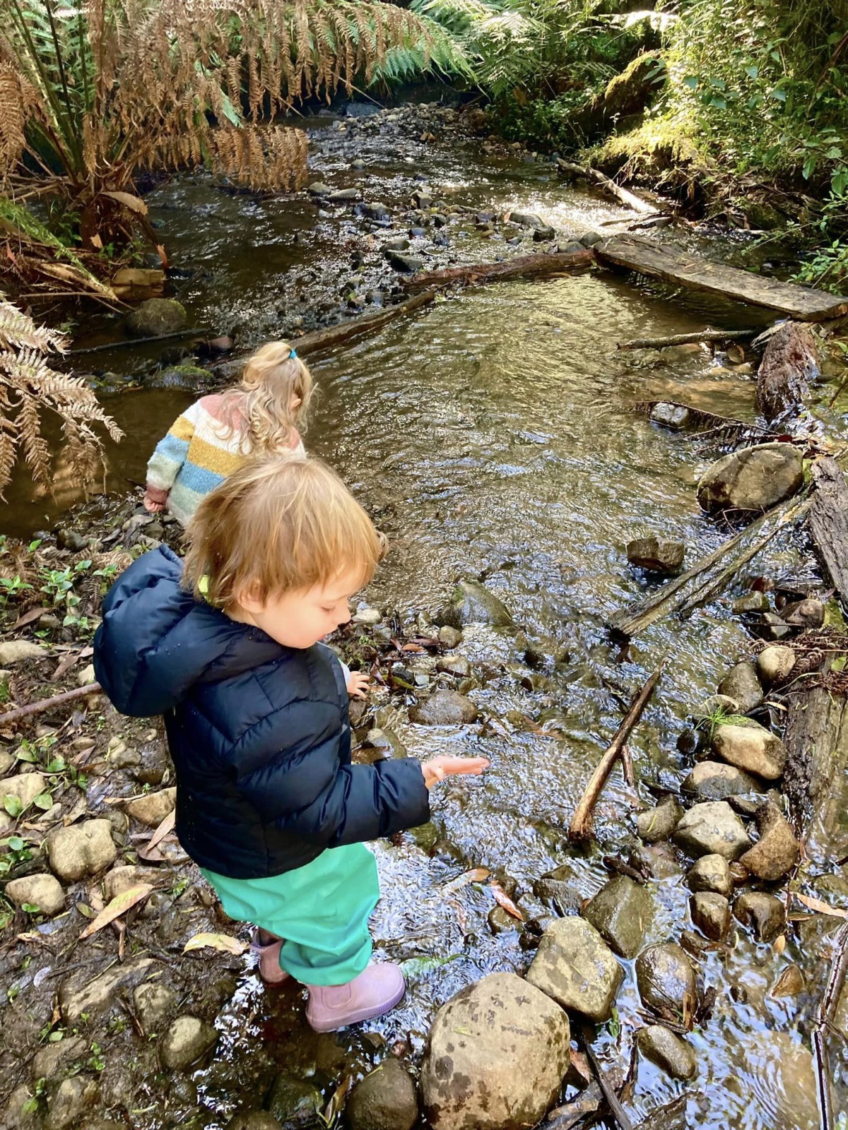 Bush Babies Sassafras – Thursdays