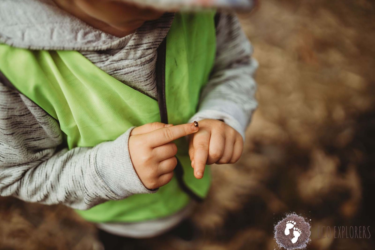 Doreen Family Nature Club – Fridays