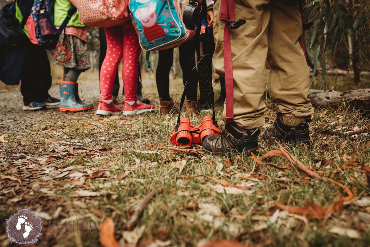 Bush Kids Forest School Dandenong Ranges – Fridays