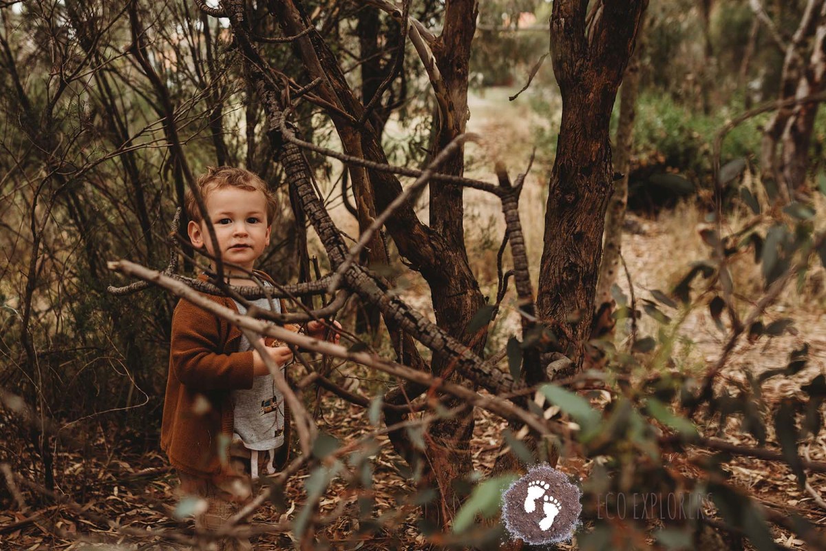 Keilor East Bush Play ~ Fungi, Fire & Forest Nature Play! - Image 3
