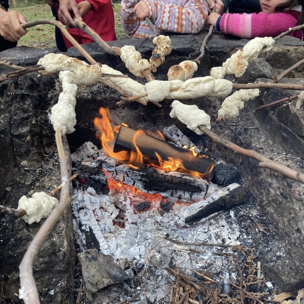 Bush Kids Bundoora Forest School ~ Wednesday