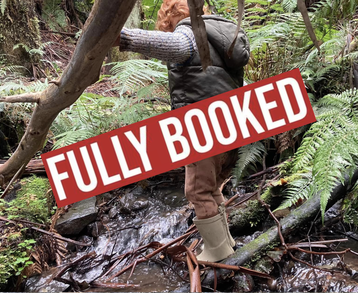 Bush Kids Forest School Dandenong Ranges – Friday