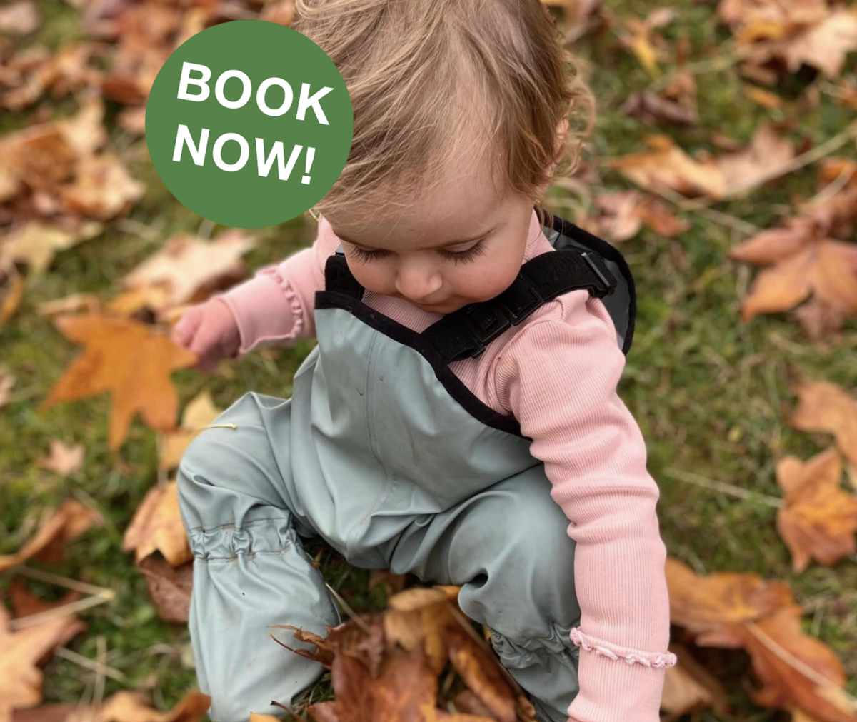 Bush Playgroup Frankston ~ Fridays