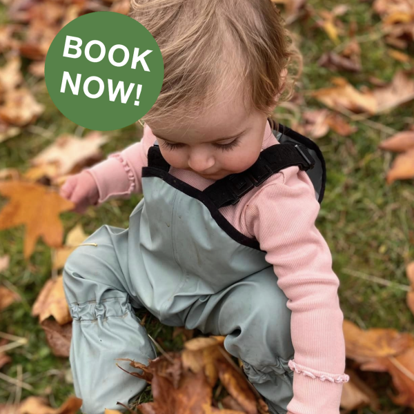 Bush Playgroup Langwarrin ~ Fridays