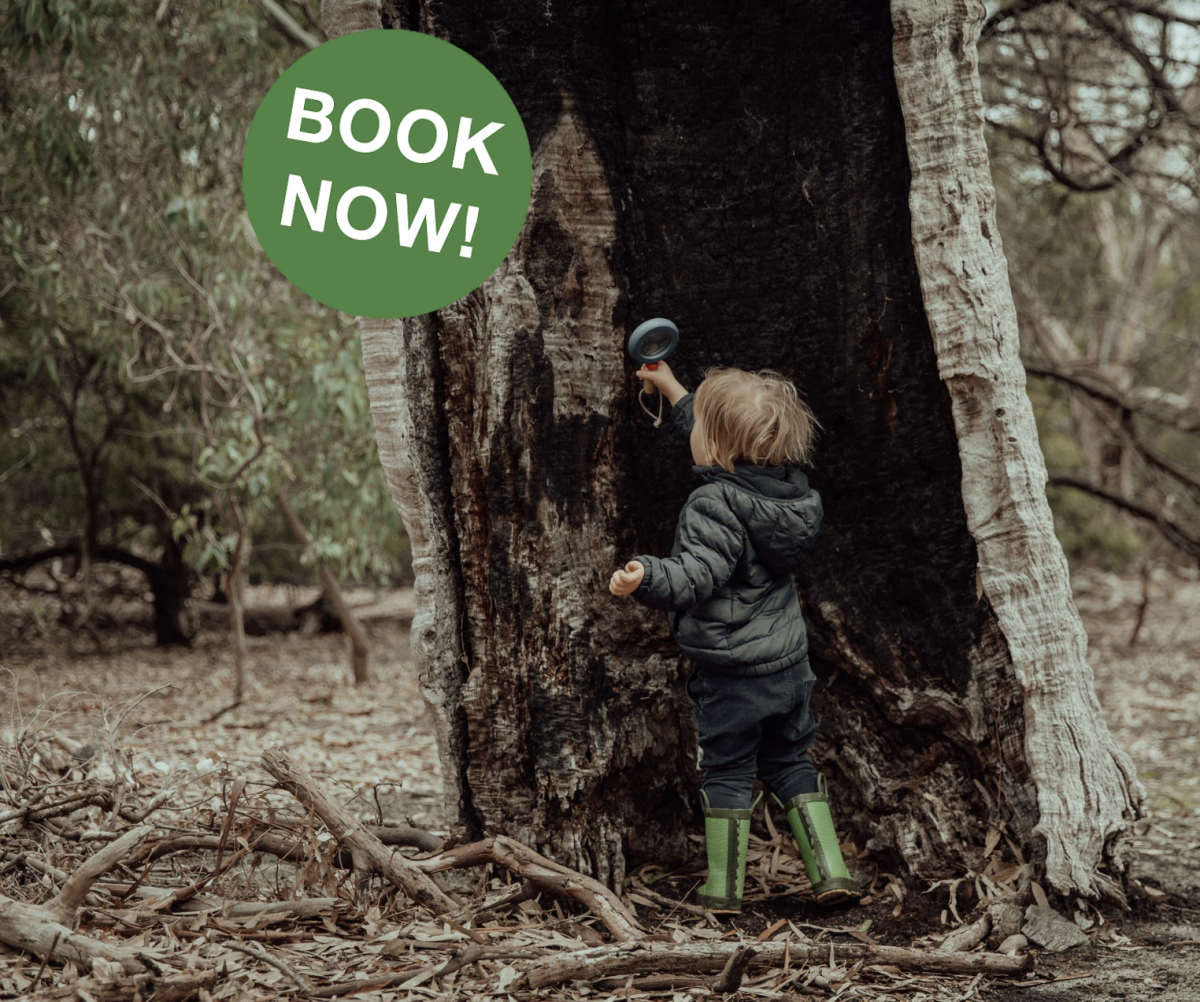 Tawny Toddlers Bundoora – Thursdays