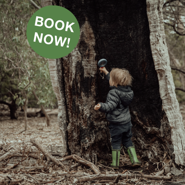 Tawny Toddlers Bundoora – Thursdays