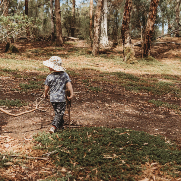 Bush Babies Kallista – Thursdays