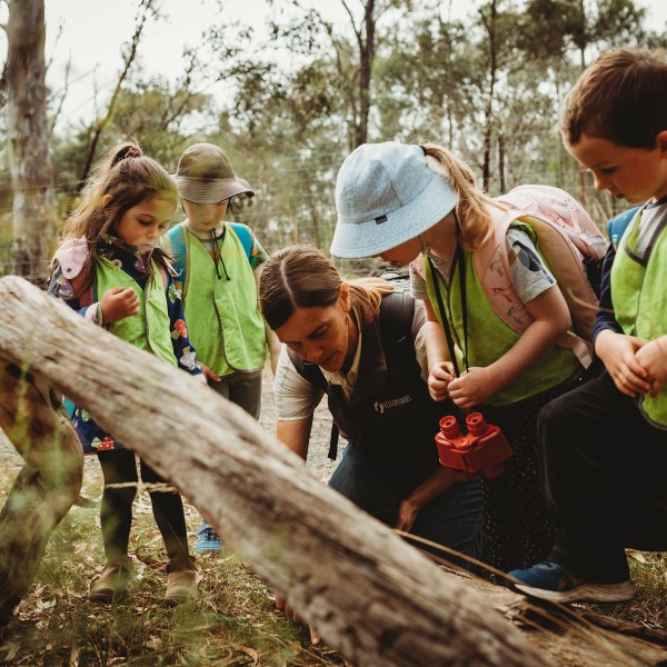 Bush Kids Forest School Keilor East – Tuesdays