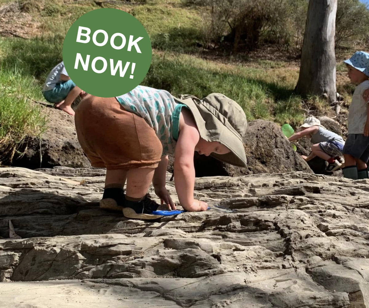 Bush Babies Newport ~ Friday (term)