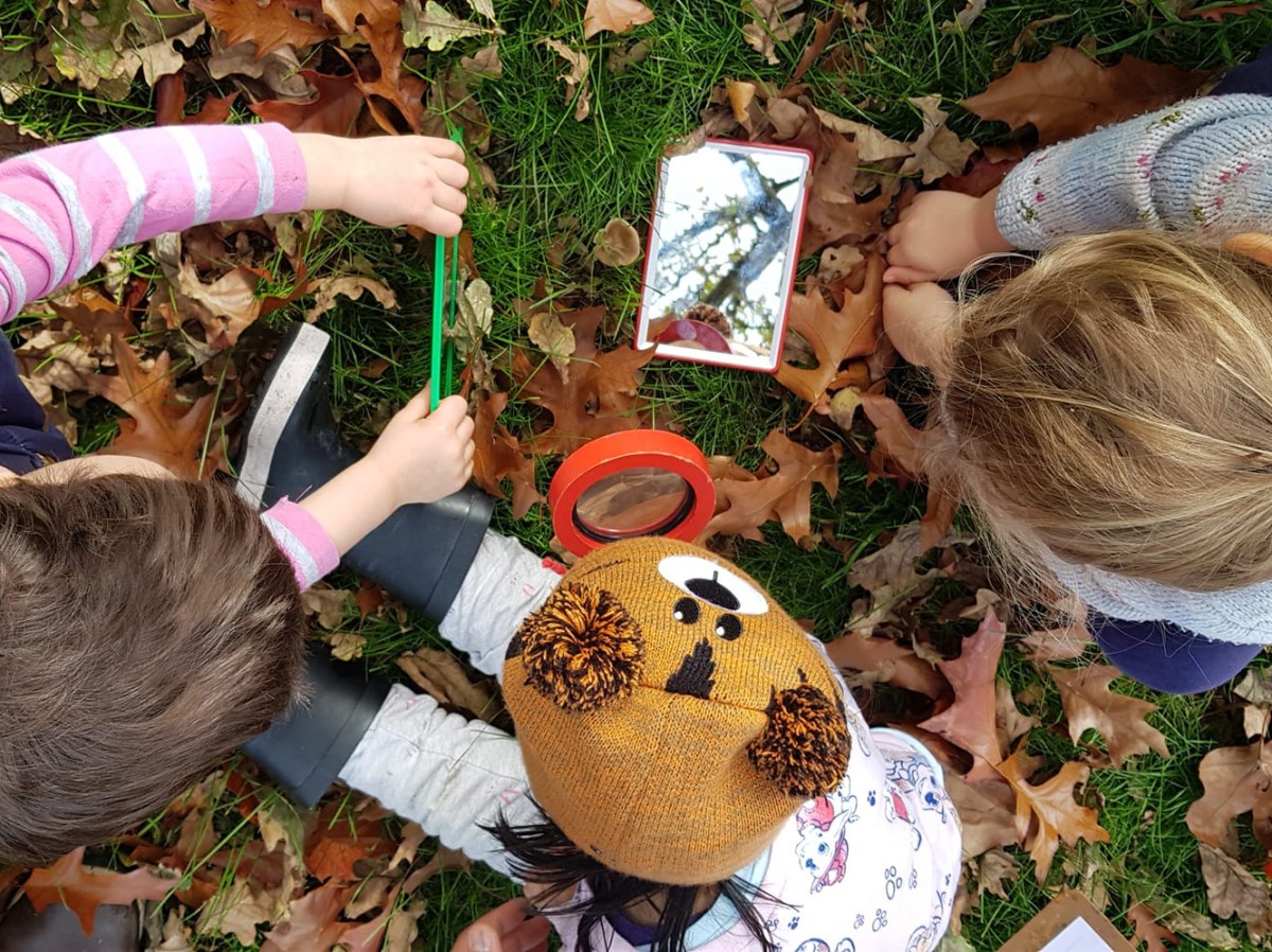 Bundoora Bush Play ~ Fungi, Fire & Forest Nature Play!