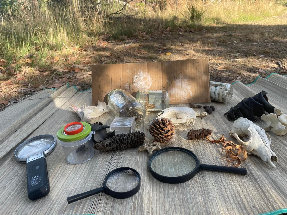 Bundoora ~ Scats, Tracks & Bush Survival - Image 3