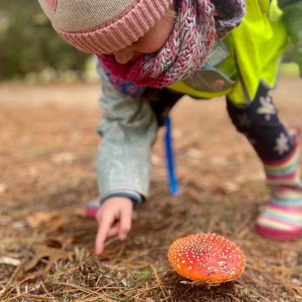 Dandenong Ranges ~ Bush Walk & Explore Fungi!