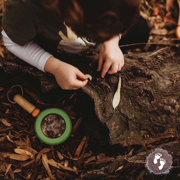 Wheelers Hill ~ Pop-Up Bush Playgroup