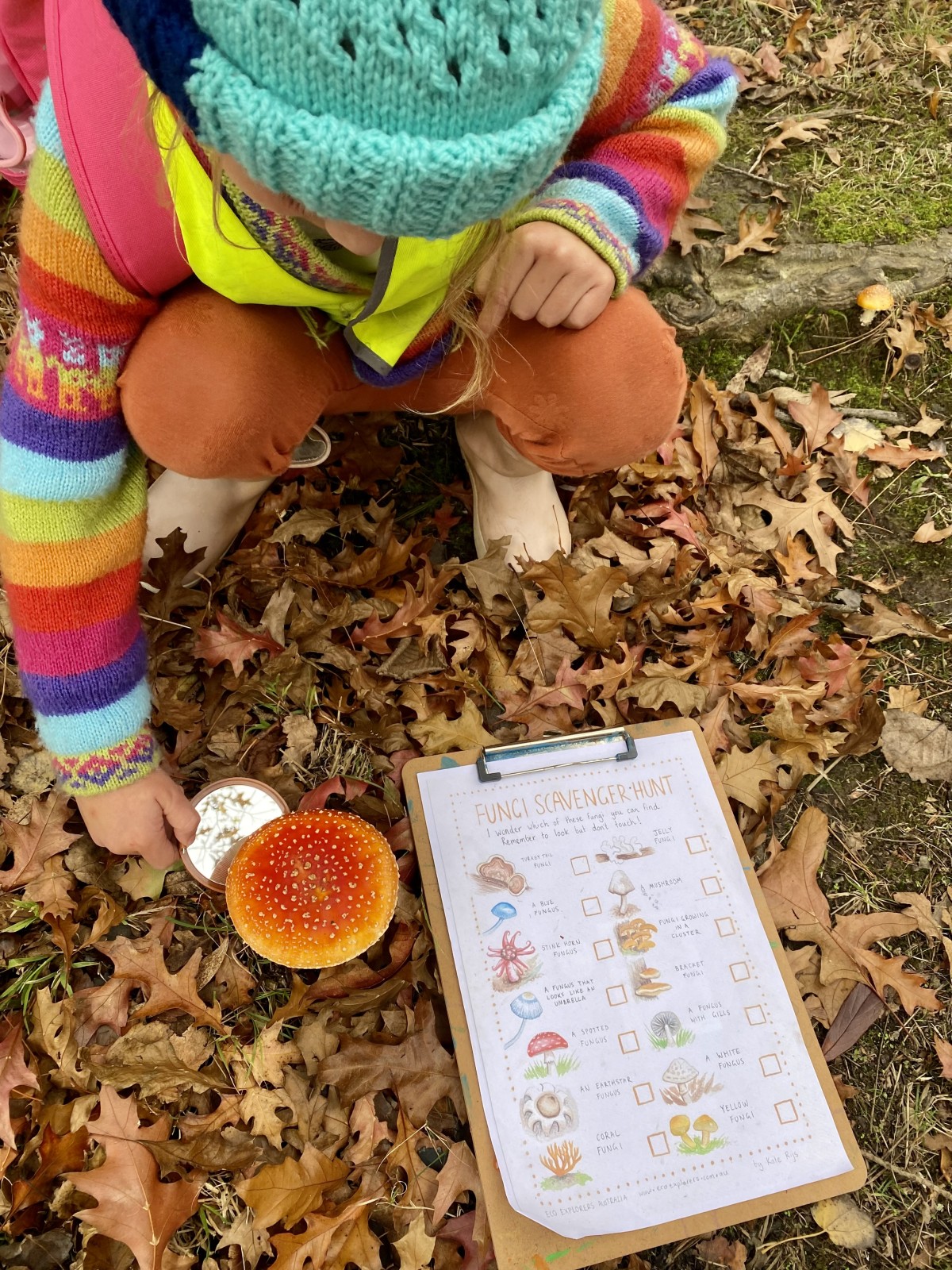 Dandenong Ranges ~ Bush Walk & Explore Fungi! - Image 3