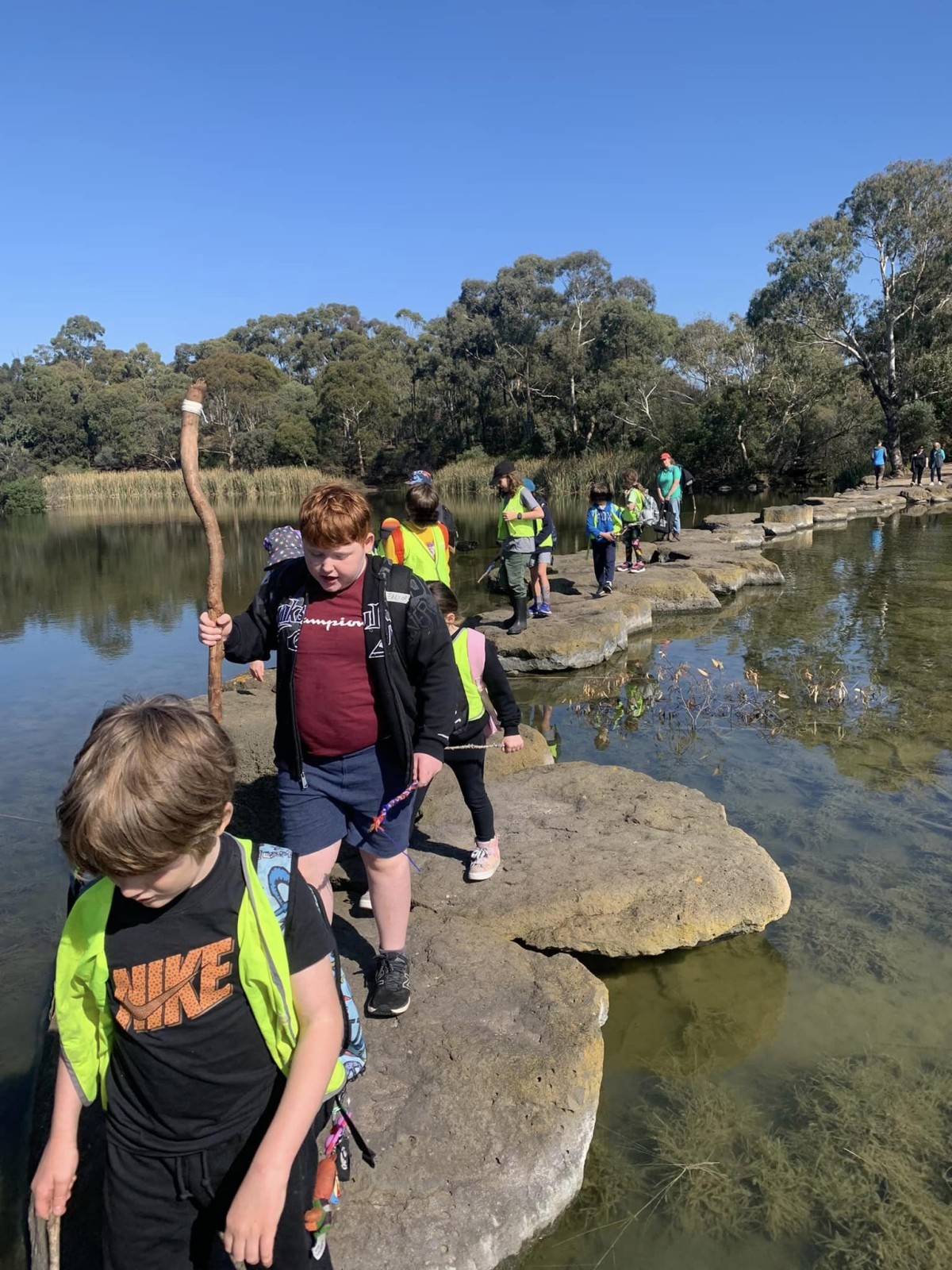 Newport ~ Bush Walk & Ponding Adventure! - Image 3
