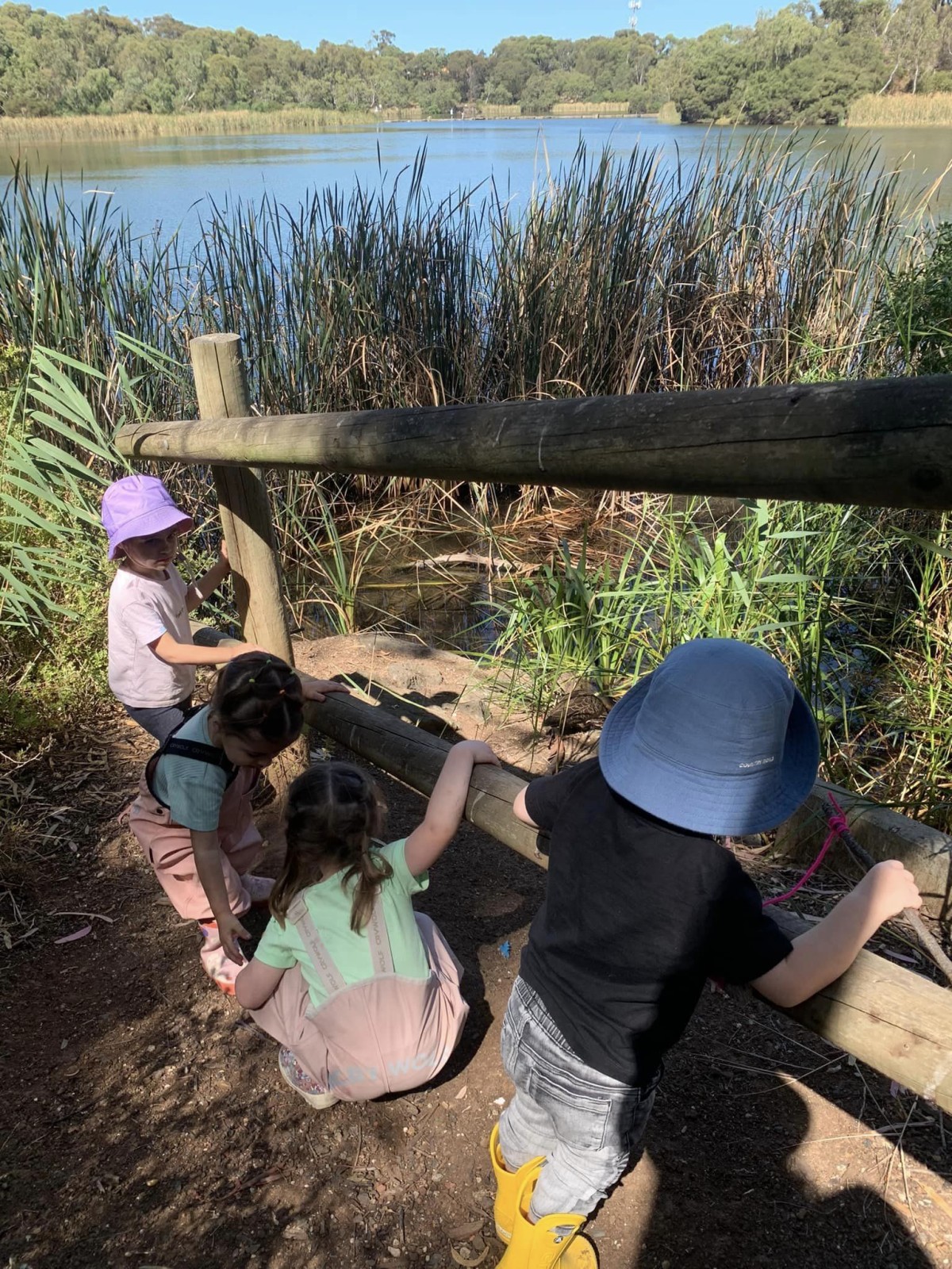 Newport ~ Bush Walk & Ponding Adventure! - Image 2