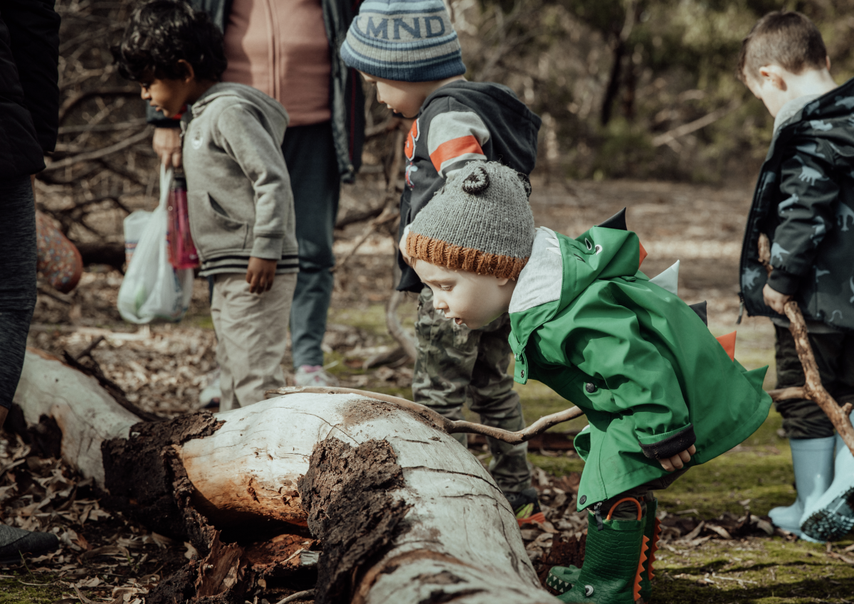 Newport Bush Kids Forest School ~ Fridays (term 3)