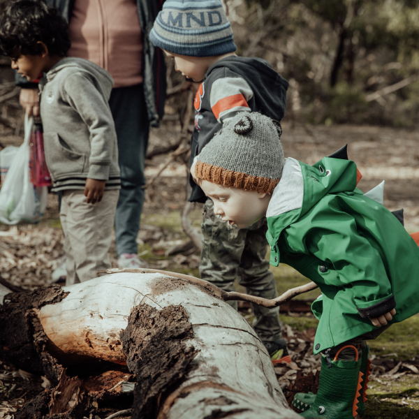 Newport Bush Kids Forest School ~ Fridays (term 3)