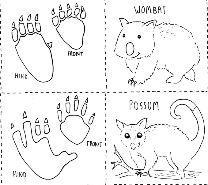 australian animal tracks footprints printable