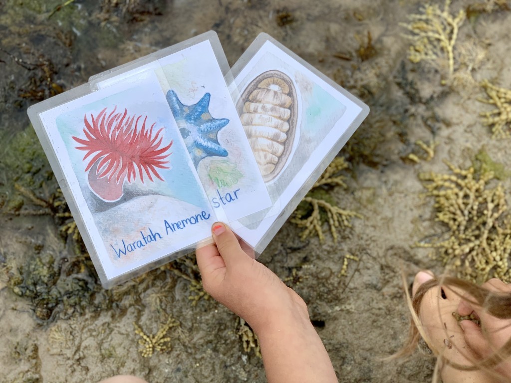 rockpool cards